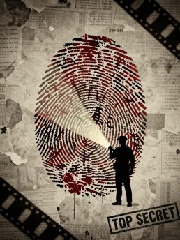 Silent Fingerprints