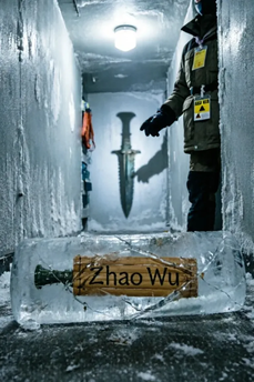 Case of Zhao Wu's Death and the Regency of Han Qi and Qi Wu