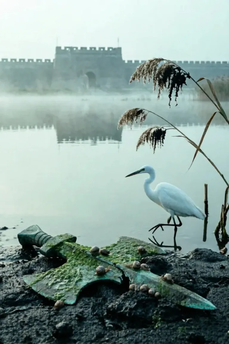 The Case of Zi Taishu Suppressing the Bandits in Huanfu Marsh