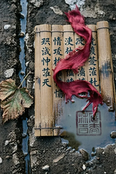 Case of Zuo Sima Shi v. Chen Fu over Farmland